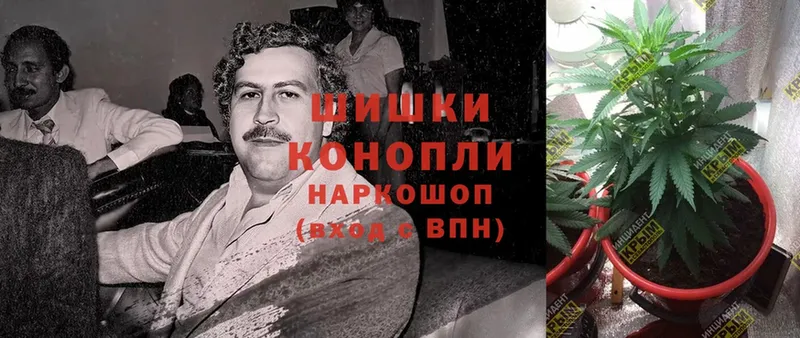 Купить Ногинск Гашиш  КОКАИН  Вейп ТГК  МАРИХУАНА  Меф мяу мяу 